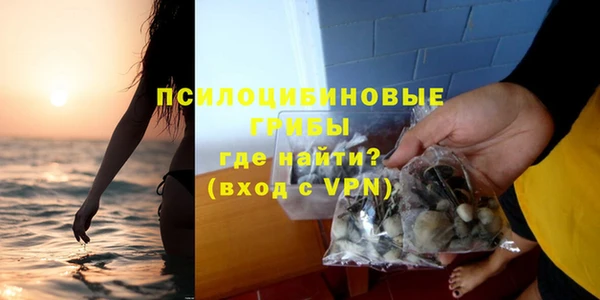 мдпв Покачи