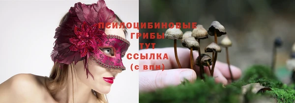 герыч Протвино