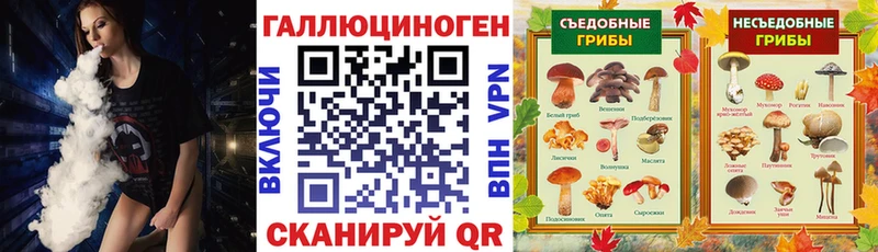 Галлюциногенные грибы GOLDEN TEACHER  наркотики  MEGA ONION  Алексеевка 