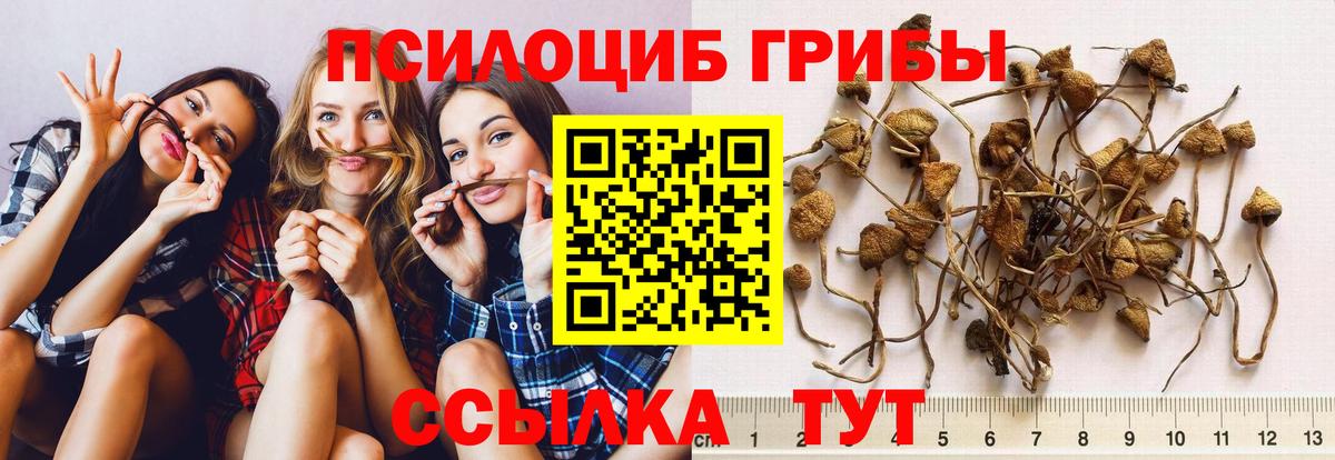 Псилоцибиновые грибы ЛСД  Вход с VPN  Алексеевка 