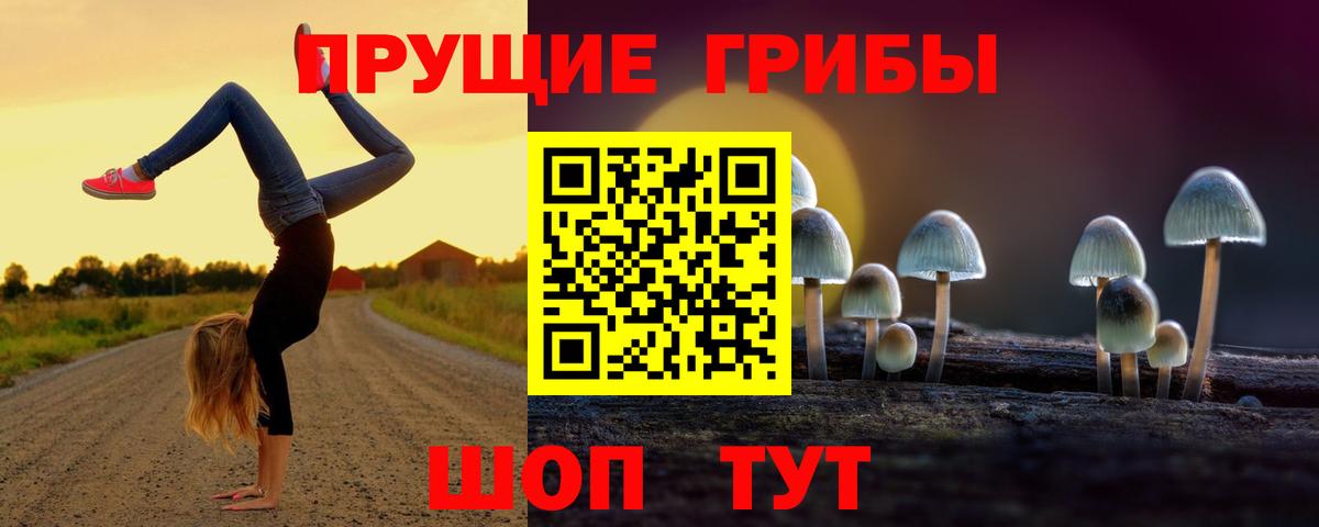 Галлюциногенные грибы GOLDEN TEACHER Алексеевка